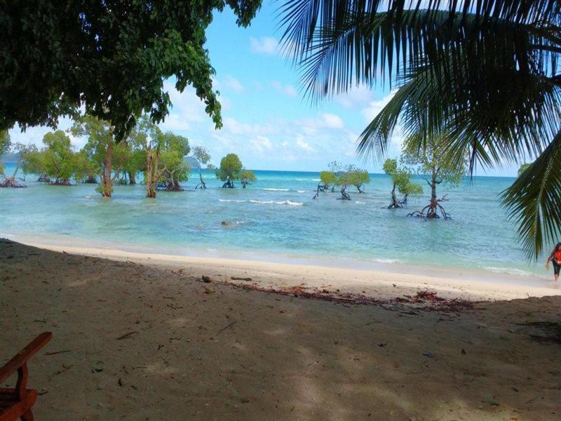 Coconhuts Beach Resort Lakshmanpur Bagian luar foto