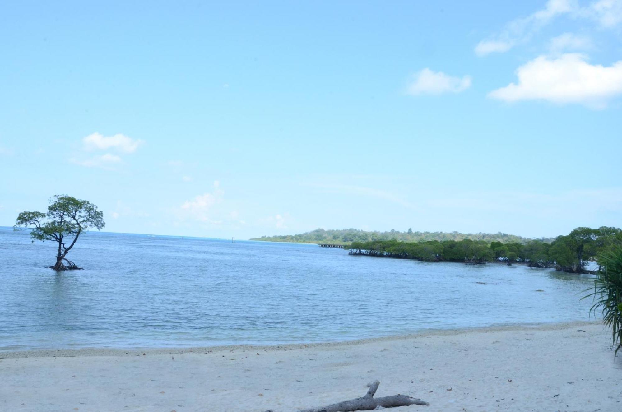 Coconhuts Beach Resort Lakshmanpur Bagian luar foto
