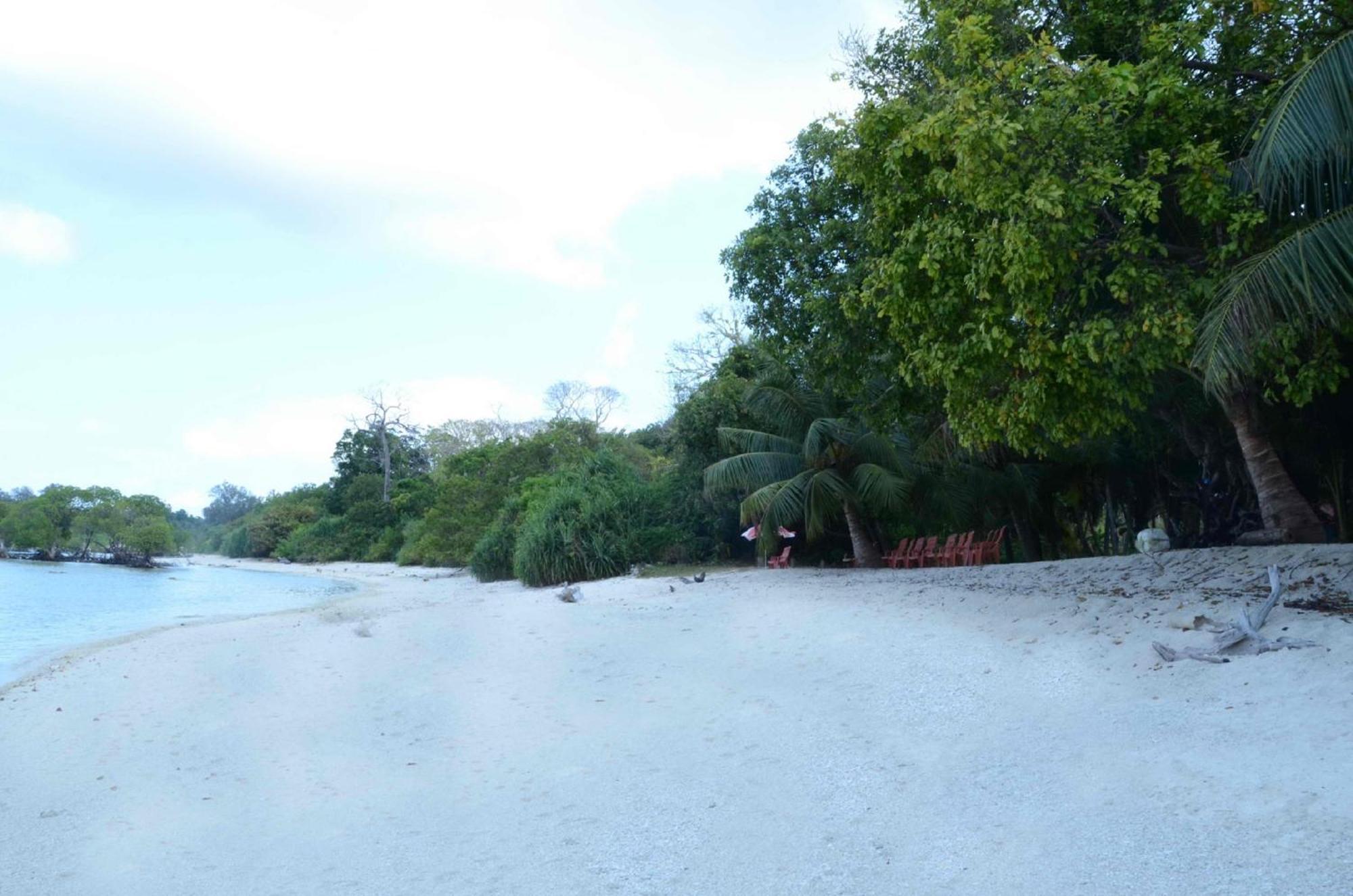 Coconhuts Beach Resort Lakshmanpur Bagian luar foto