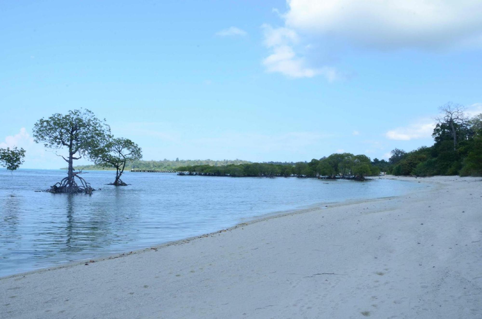 Coconhuts Beach Resort Lakshmanpur Bagian luar foto