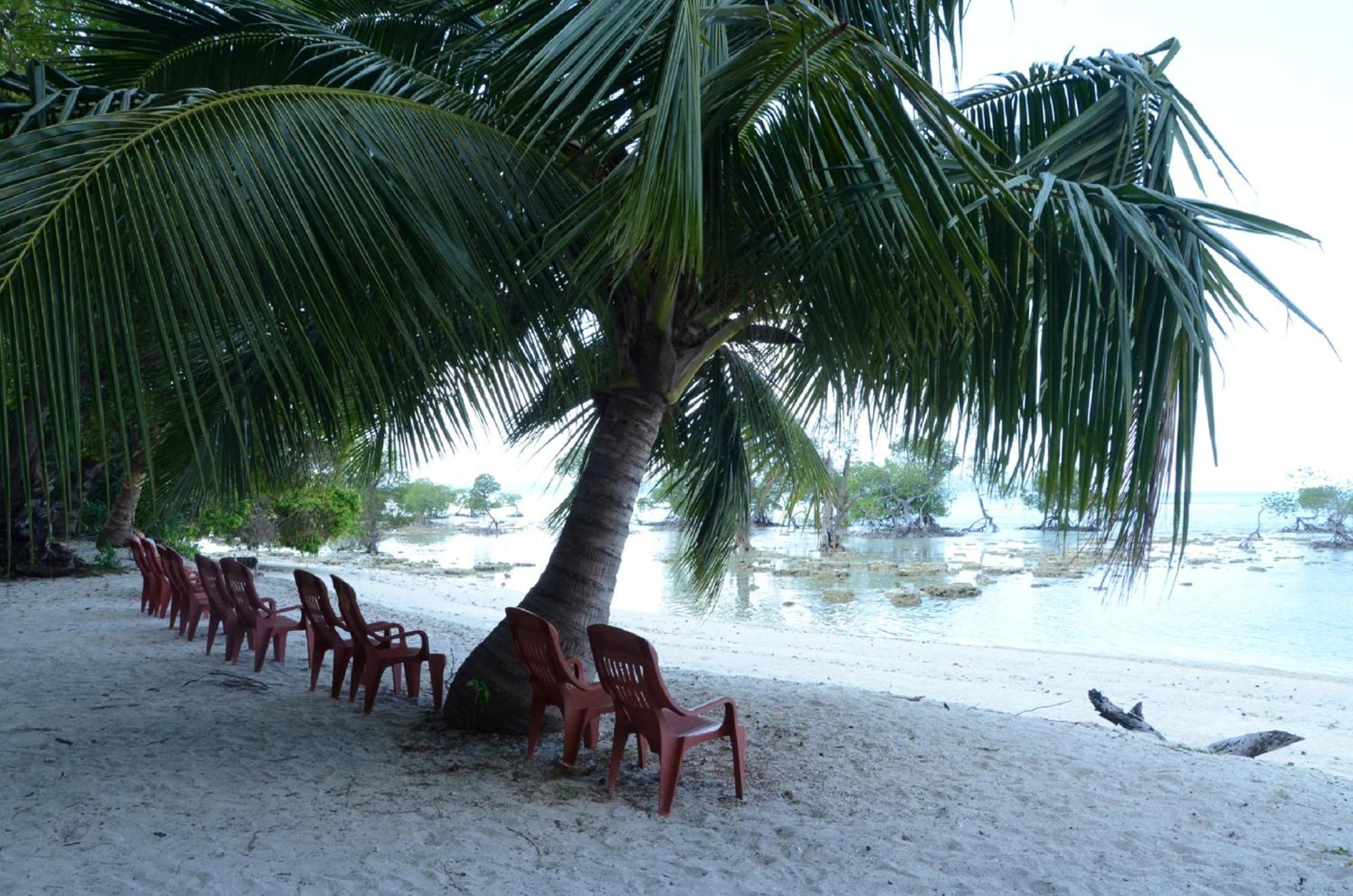 Coconhuts Beach Resort Lakshmanpur Bagian luar foto