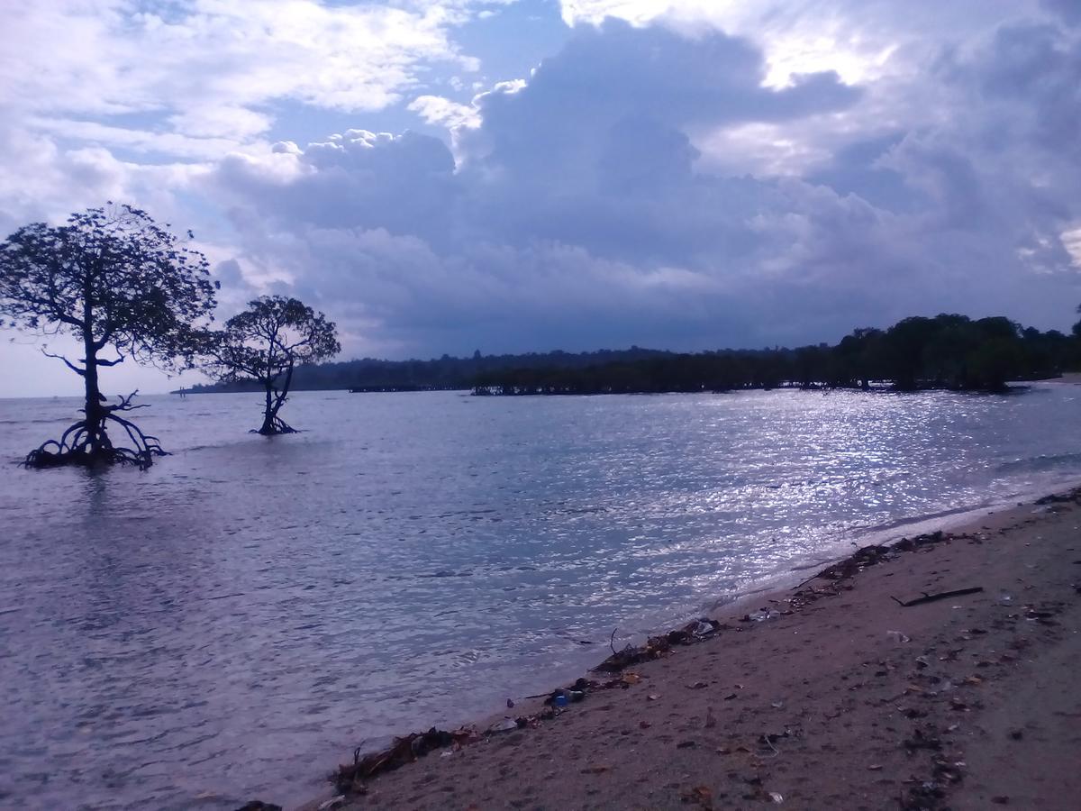 Coconhuts Beach Resort Lakshmanpur Bagian luar foto